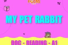 Bài Tập Trắc Nghiệm Về Thú Cưng “My Pet Rabbit” | Kỹ Năng Đọc Tiếng Anh Level A1